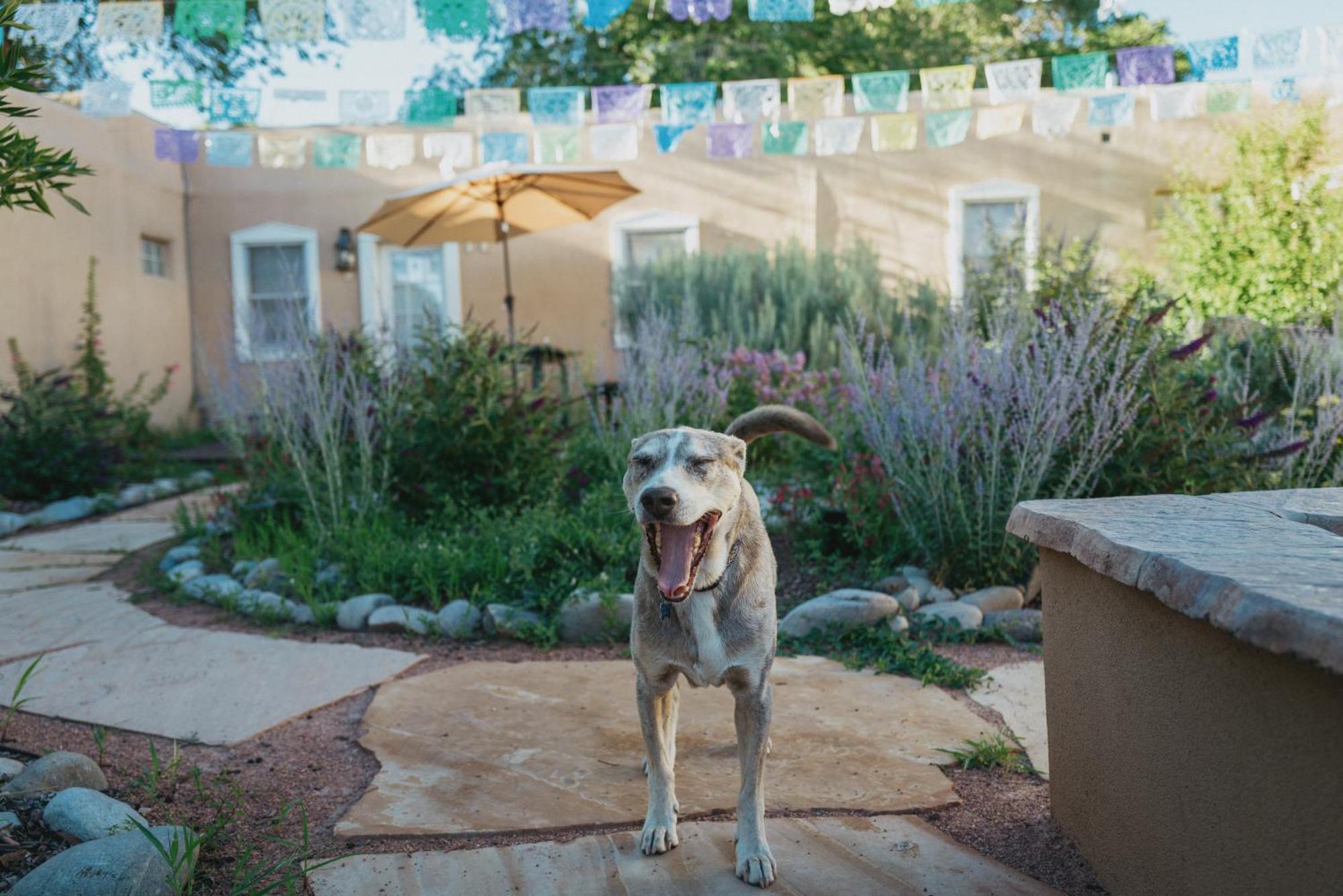 Dos Hermanas Casita 1 Downtown Courtyard Santa Fe Zewnętrze zdjęcie